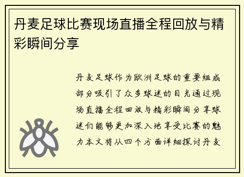 丹麦足球比赛现场直播全程回放与精彩瞬间分享